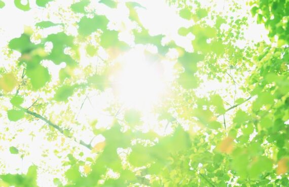 労働者協同組合を作ろう