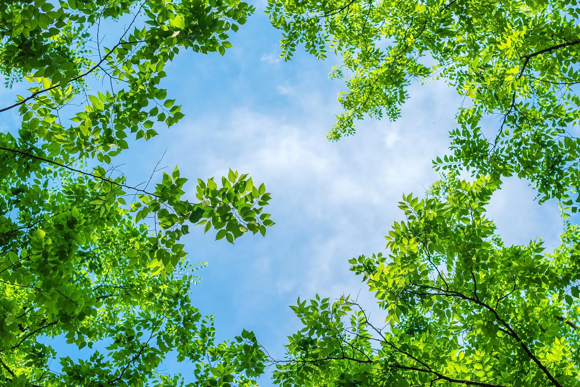 行政書士すずき事務所